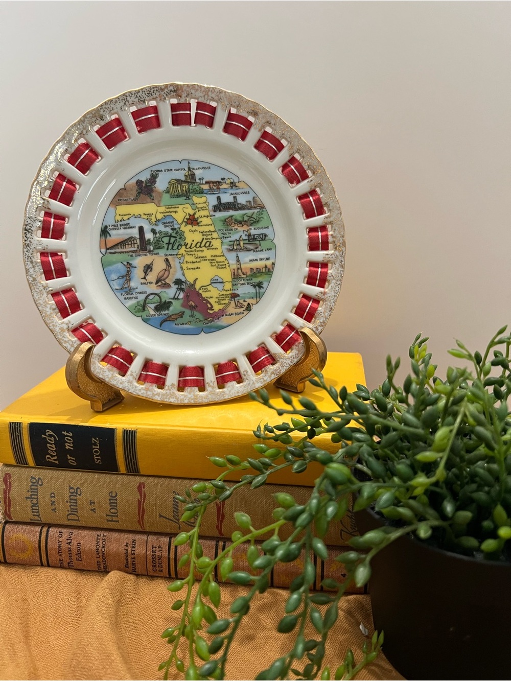 Vintage Florida Decorative Collector articulated 7” Plate with red  ribbon